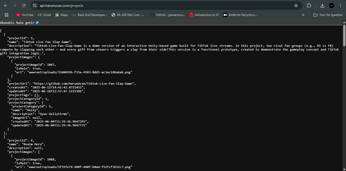 Portfolyo Sitesi (.NET Core MVC + Web Api)