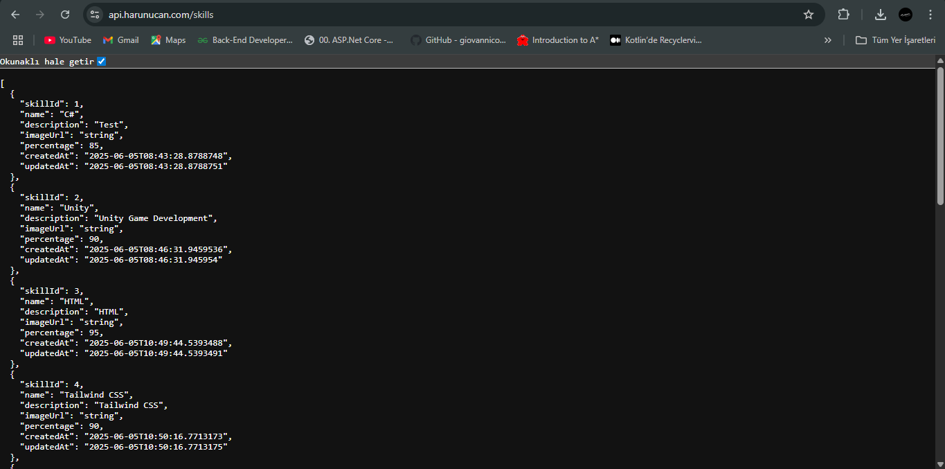 Portfolyo Sitesi (.NET Core MVC + Web Api)