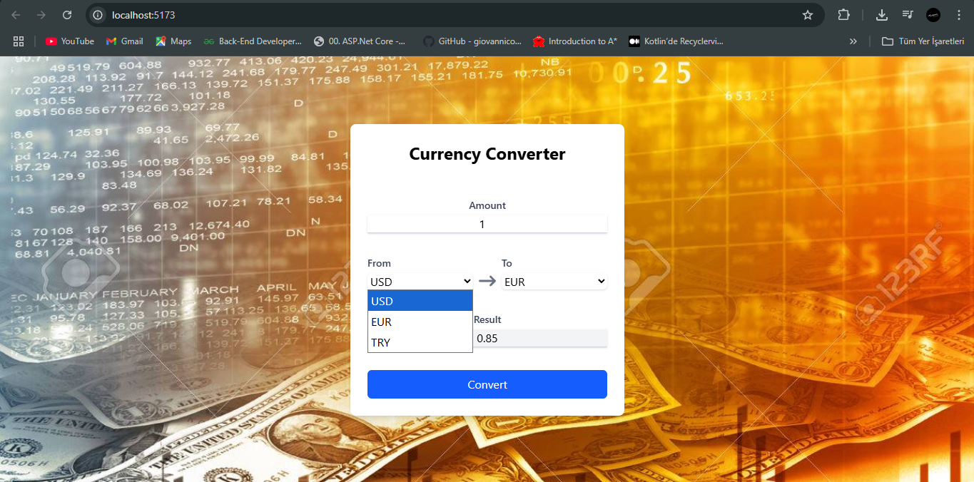 Döviz Çevirici (React)